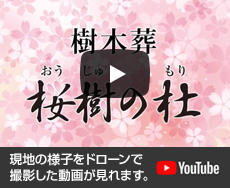 桜樹の杜