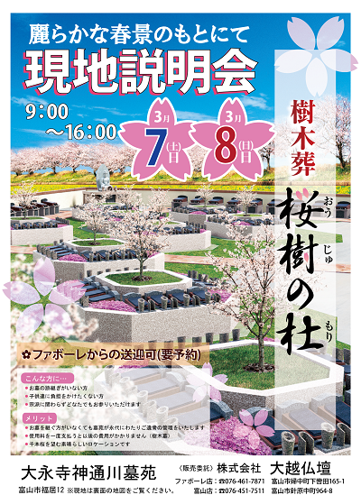 桜樹の杜３月0303