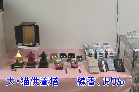 東急展示会