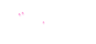 名入れ安全ベスト